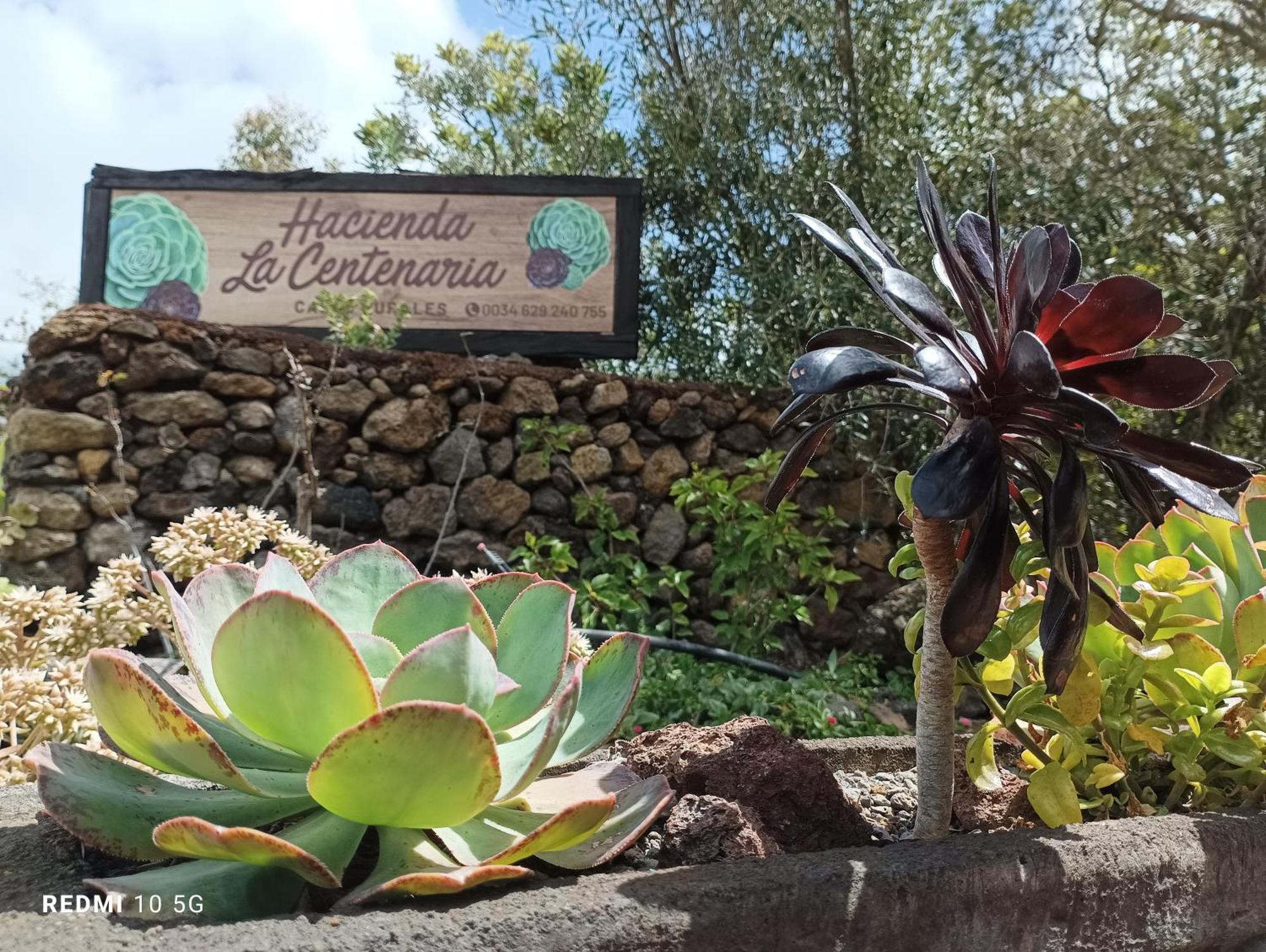 Hacienda La Centenaria,Casas Rurales 埃尔帕索 外观 照片
